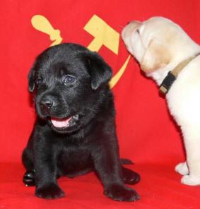 ����� ��������� ���������.