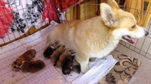 ����� ����� ����� ������� �� ������������ ��������