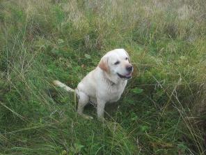 ������� �������� ��������, � ���