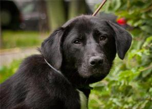 ���� ������������! ��������� ��������-��� � ���