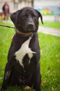 ���� ������������! ��������� ��������-��� � ���