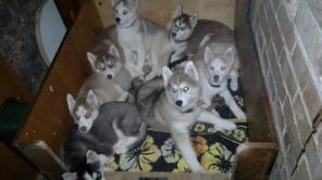 ��������� �����   ������� ������!