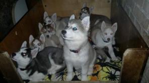 ��������� �����   ������� ������!