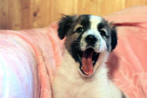 � ��� �������������� ����� ����� ����