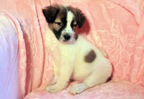 � ��� �������������� ����� ����� ����