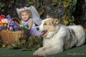 ���������� �������� ��� ������ ���� ������ �������