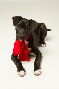 ������� ���� ���� ���