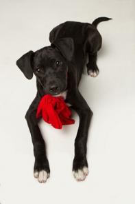 ������� ���� ���� ���