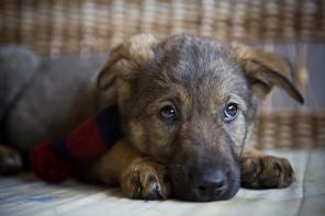 ���� ���� ���