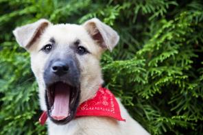 ���� ���� ���