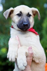 ���� ���� ���