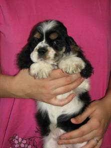 ������������ ����� �������� - ����� �� ���������