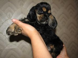 ������������ ����� �������� - ����� �� ���������