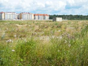 ��������� ������� 39 �� ��� ����� ��������� ���������