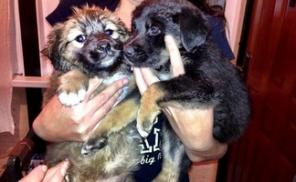 �������� ���� ������ ��� ��������� ������