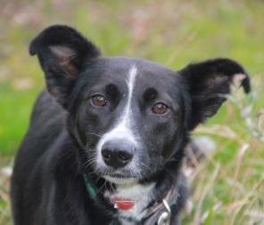 ��������� ������ ��� ��������. ������ � ��������