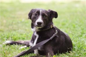 ��������� ������ ��� ��������. ������ � ��������