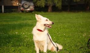 ����� - ����� � ����������� ������ ����� � ���.