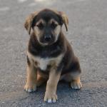 ������-������������ � ������� ����