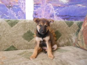 ������-������������ � ������� ����