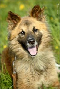 � ��� ������ ����������� �������