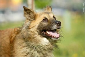 � ��� ������ ����������� �������