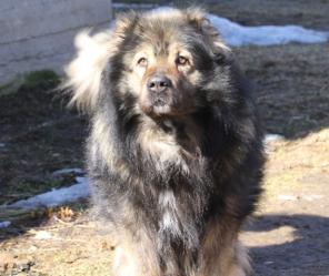 ����! ������ ���������� �������, � ������ ����, � ���.