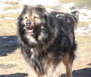 ����! ������ ���������� �������, � ������ ����, � ���.