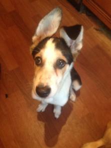 �������� - �������� � �������! 4 ���, � ���.