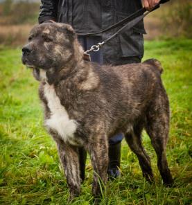 � ��� ��������� ������� ������ ����