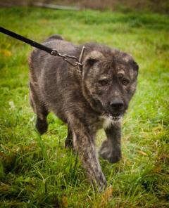 � ��� ��������� ������� ������ ����