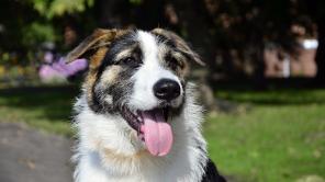 ����� � ��������, ���������� ����� ���� ������� �����.