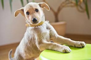 ���� ���� ���