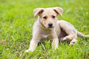 ���� ���� ���