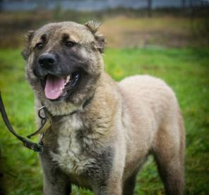 ������, ��������� ������ ���� ���