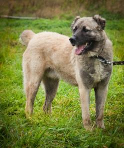 ������, ��������� ������ ���� ���