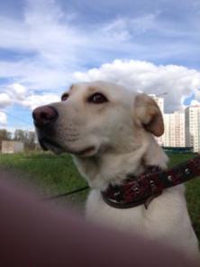 ������� ��������� ������ ��� �����! ���� ����� ��������� 1,5 ����