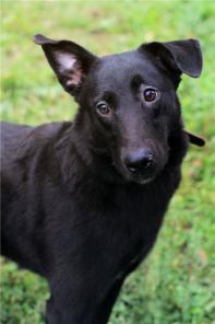 ���������� ������� ���� ���� ������ ������.