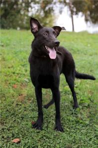 ���������� ������� ���� ���� ������ ������.