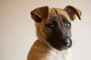 ����� ���� ���