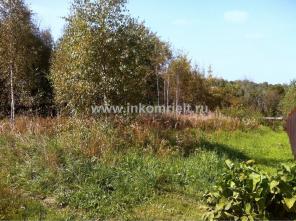 ������ �������. ����-��������� �����, �������� �����