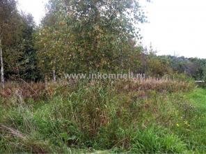 ������ �������. ����-��������� �����, �������� �����