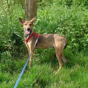 ������ ���� ������� � ����! � ���!