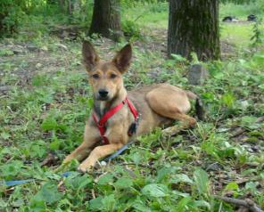 ������ ���� ������� � ����! � ���!