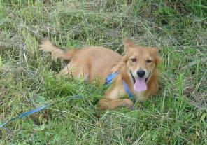 ����� ���� � ����� ������� ����! � ���!