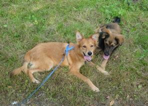 ����� ���� � ����� ������� ����! � ���!