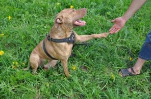 �������� �������-�������