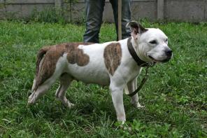 ������������ �����������