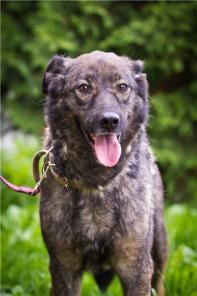 ����������� �� ��� ���� ���