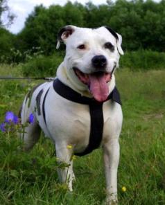 ������� ����� � ��������� �������